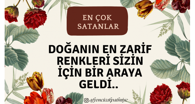 sevgiliye